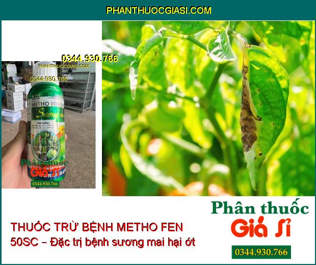 THUỐC TRỪ BỆNH METHO FEN 50SC – Đặc Trị Nấm Khuẩn- Phòng Trừ Thán Thư- Sương Mai