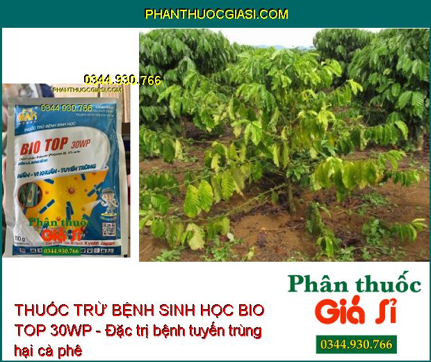 THUỐC TRỪ BỆNH SINH HỌC BIO TOP 30WP - Đặc Trị Nấm- Vi Khuẩn- Tuyến Trùng