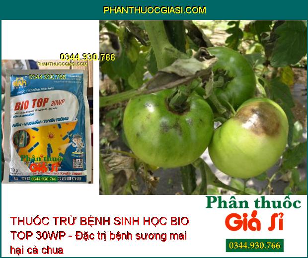 THUỐC TRỪ BỆNH SINH HỌC BIO TOP 30WP - Đặc Trị Nấm- Vi Khuẩn- Tuyến Trùng