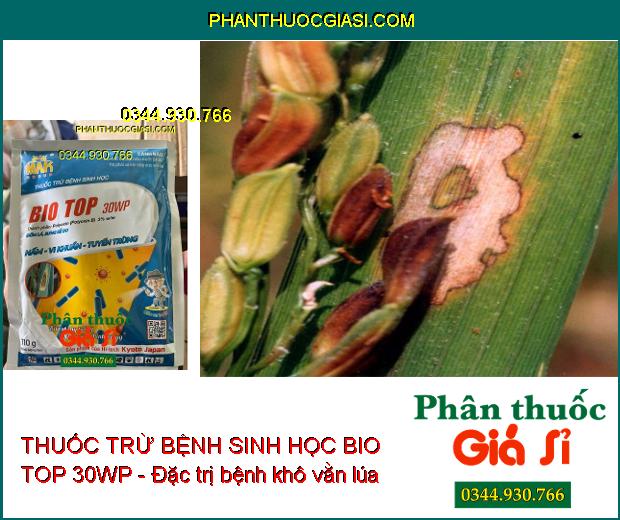 THUỐC TRỪ BỆNH SINH HỌC BIO TOP 30WP - Đặc Trị Nấm- Vi Khuẩn- Tuyến Trùng