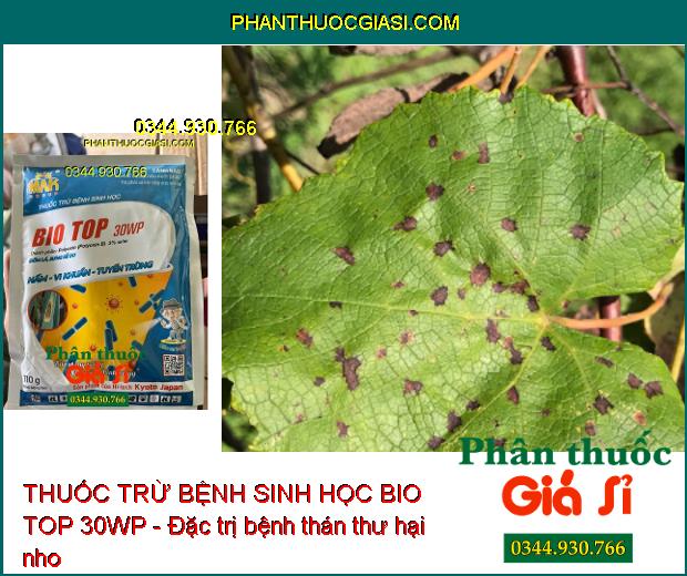 THUỐC TRỪ BỆNH SINH HỌC BIO TOP 30WP - Đặc Trị Nấm- Vi Khuẩn- Tuyến Trùng