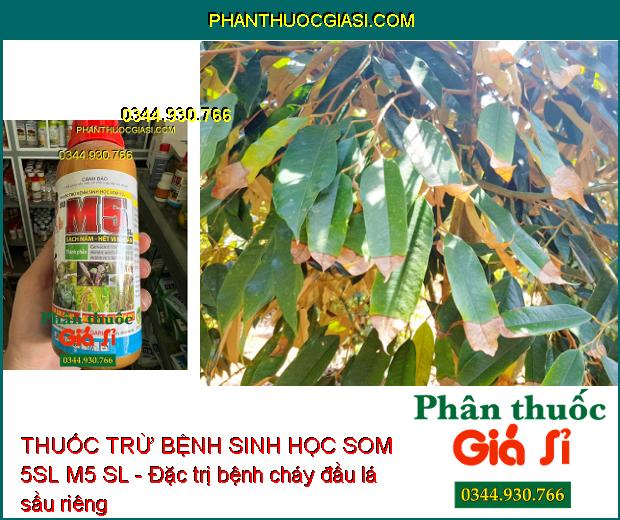 THUỐC TRỪ BỆNH SINH HỌC SOM 5SL M5 SL - Diệt Sạch Nấm- Hết Vi Khuẩn- Chống Cháy Lá Sầu Riêng- Hết Xơ Đen Mít