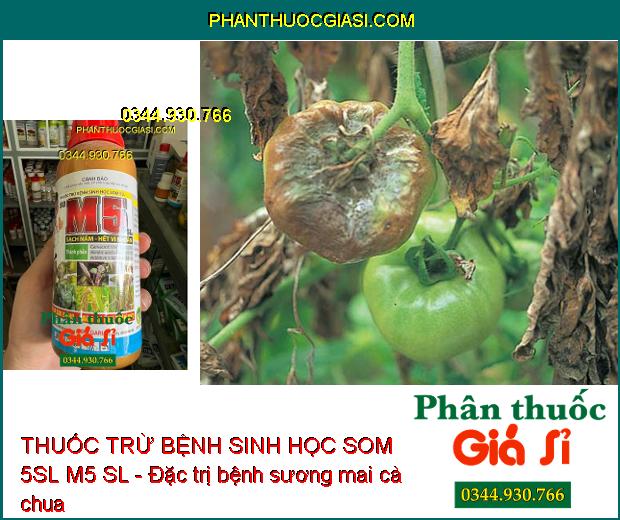 THUỐC TRỪ BỆNH SINH HỌC SOM 5SL M5 SL - Diệt Sạch Nấm- Hết Vi Khuẩn- Chống Cháy Lá Sầu Riêng- Hết Xơ Đen Mít