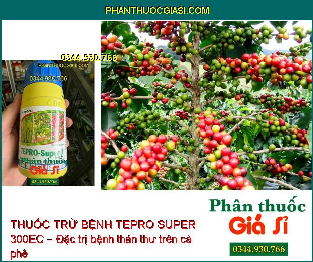 THUỐC TRỪ BỆNH HỢP TRÍ TEPRO SUPER 300EC – Đặc Trị Thán Thư- Đốm Vằn- Vàng Lá- Lem Lép Hạt