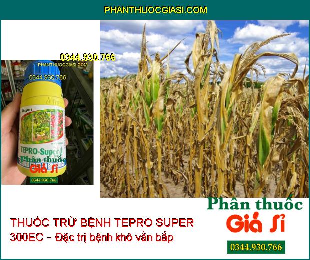 THUỐC TRỪ BỆNH HỢP TRÍ TEPRO SUPER 300EC – Đặc Trị Thán Thư- Đốm Vằn- Vàng Lá- Lem Lép Hạt