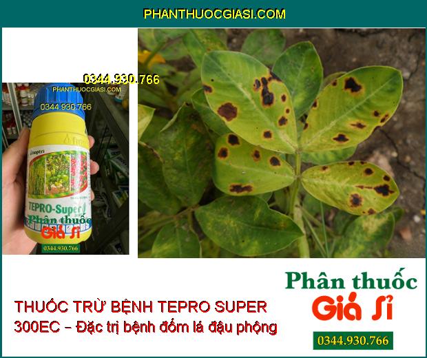 THUỐC TRỪ BỆNH HỢP TRÍ TEPRO SUPER 300EC – Đặc Trị Thán Thư- Đốm Vằn- Vàng Lá- Lem Lép Hạt