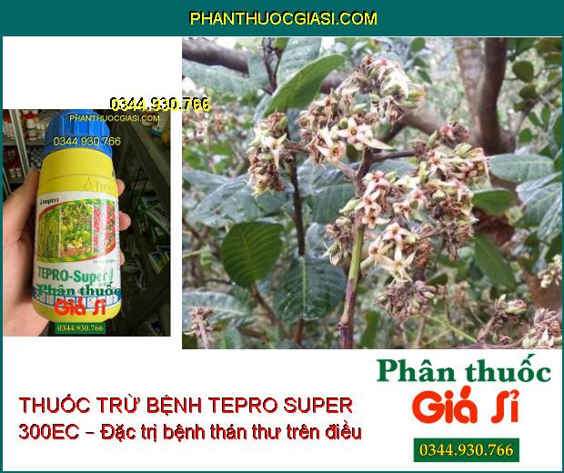 THUỐC TRỪ BỆNH HỢP TRÍ TEPRO SUPER 300EC – Đặc Trị Thán Thư- Đốm Vằn- Vàng Lá- Lem Lép Hạt