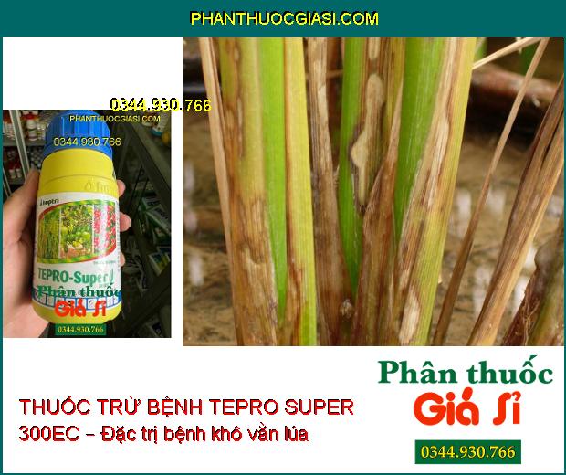 THUỐC TRỪ BỆNH HỢP TRÍ TEPRO SUPER 300EC – Đặc Trị Thán Thư- Đốm Vằn- Vàng Lá- Lem Lép Hạt