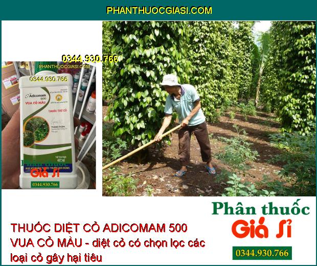 THUỐC DIỆT CỎ ADICOMAM 500 VUA CỎ MÀU