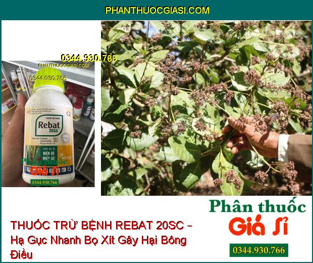 THUỐC TRỪ BỆNH REBAT 20SC – Đặc Trị - Hạ Gục Nhanh Các Loại Nhện Gié, Nhện Đỏ, Bọ Xít, Muỗi