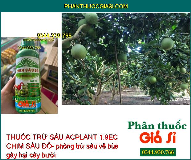 THUỐC TRỪ SÂU ACPLANT 1.9EC CHIM SÂU ĐỎ- Diệt Thần Tốc Các Loại Sâu