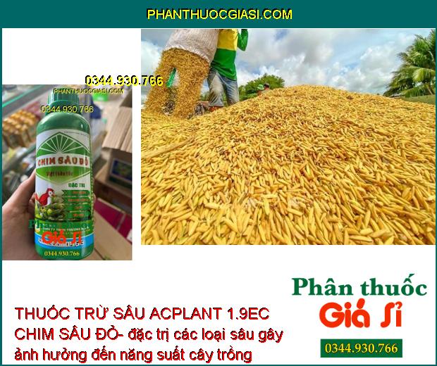 THUỐC TRỪ SÂU ACPLANT 1.9EC CHIM SÂU ĐỎ- Diệt Thần Tốc Các Loại Sâu