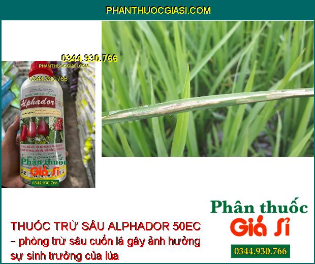 THUỐC TRỪ SÂU ALPHADOR 50EC – Đặc Trị Các Loại Bọ Xít- Sâu - Rầy