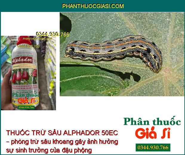 THUỐC TRỪ SÂU ALPHADOR 50EC – Đặc Trị Các Loại Bọ Xít- Sâu - Rầy