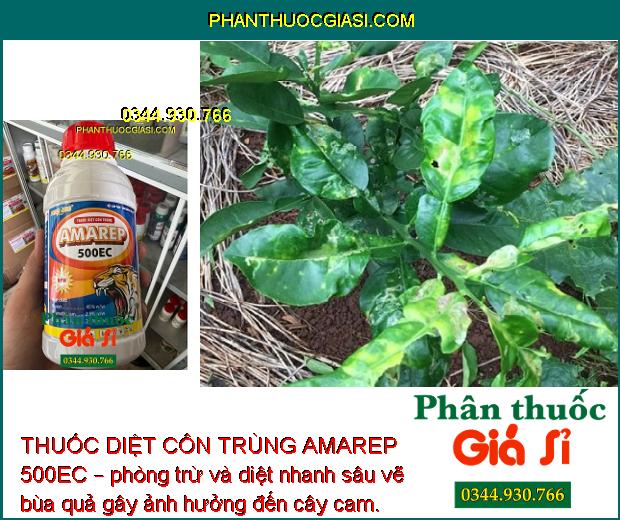 THUỐC DIỆT CÔN TRÙNG AMAREP 500EC – Đặc Trị Các Loại Sâu và Côn Trùng