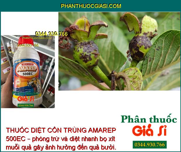 THUỐC DIỆT CÔN TRÙNG AMAREP 500EC – Đặc Trị Các Loại Sâu và Côn Trùng