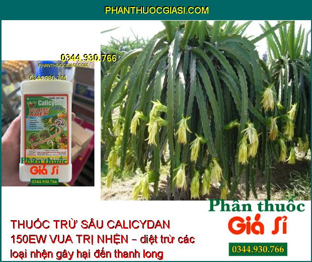 THUỐC TRỪ SÂU CALICYDAN 150EW VUA TRỊ NHỆN – Phòng Chống Các Loại Nhện Gây Hại