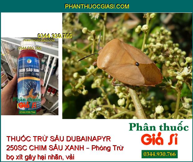 THUỐC TRỪ SÂU DUBAINAPYR 250SC CHIM SÂU XANH – Phòng Trừ Các Loại Sâu Gây Hại 