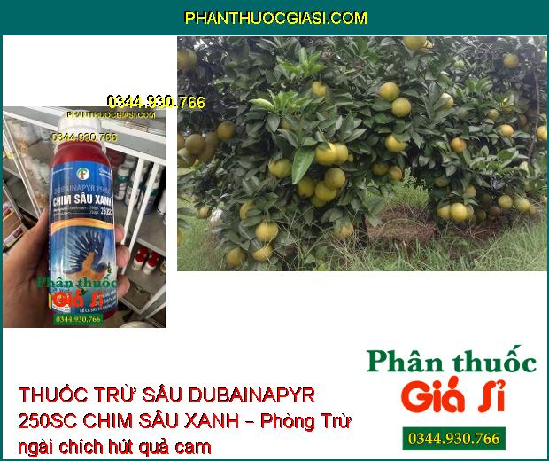 THUỐC TRỪ SÂU DUBAINAPYR 250SC CHIM SÂU XANH – Phòng Trừ Các Loại Sâu Gây Hại 