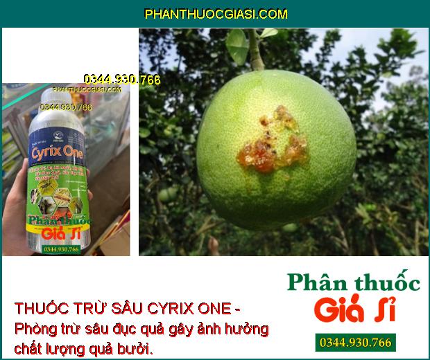 THUỐC TRỪ SÂU CYRIX ONE - Phòng Trừ Các Loại Sâu Và Côn Trùng Gây Hại