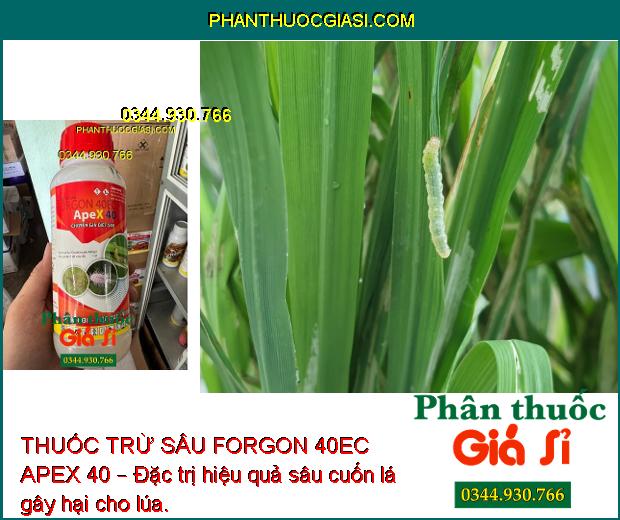 THUỐC TRỪ SÂU FORGON 40EC APEX 40 – Phòng Trừ Hiệu Quả Sâu Cuốn Lá