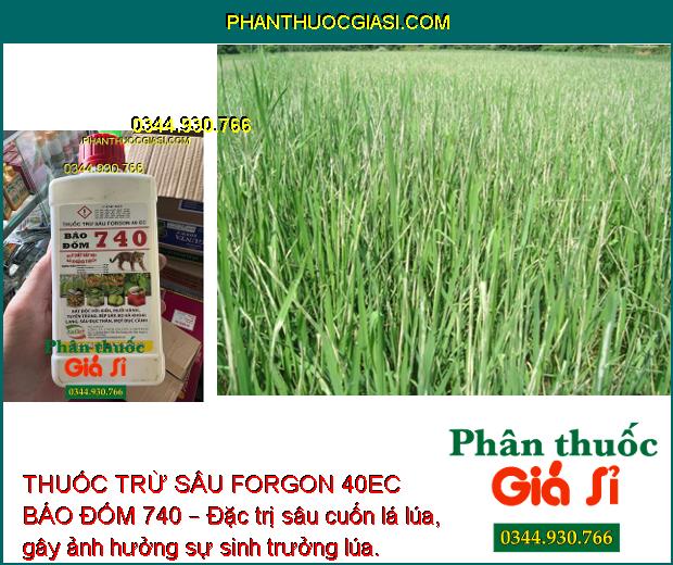 THUỐC TRỪ SÂU FORGON 40EC BÁO ĐỐM 740 – Đặc Trị Sâu Cuốn Lá Trên Lúa