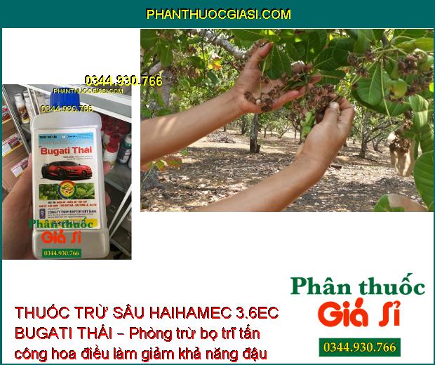 THUỐC TRỪ SÂU HAIHAMEC 3.6EC BUGATI THÁI – Phòng Ngừa- Đặc Trị Các Loại Nhện và Sâu Gây Hại