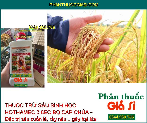 THUỐC TRỪ SÂU SINH HỌC HOTHAMEC 3.6EC BỌ CẠP CHÚA – Đặc Trị Sâu Cuốn Lá- Rầy Nâu Hại Lúa