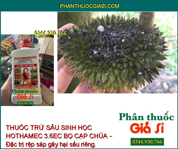 THUỐC TRỪ SÂU SINH HỌC HOTHAMEC 3.6EC BỌ CẠP CHÚA – Đặc Trị Sâu Cuốn Lá- Rầy Nâu Hại Lúa