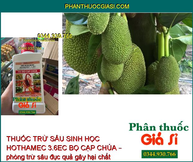 THUỐC TRỪ SÂU SINH HỌC HOTHAMEC 3.6EC BỌ CẠP CHÚA – Đặc Trị Sâu Cuốn Lá- Rầy Nâu Hại Lúa