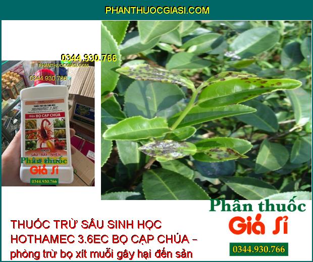 THUỐC TRỪ SÂU SINH HỌC HOTHAMEC 3.6EC BỌ CẠP CHÚA – Đặc Trị Sâu Cuốn Lá- Rầy Nâu Hại Lúa