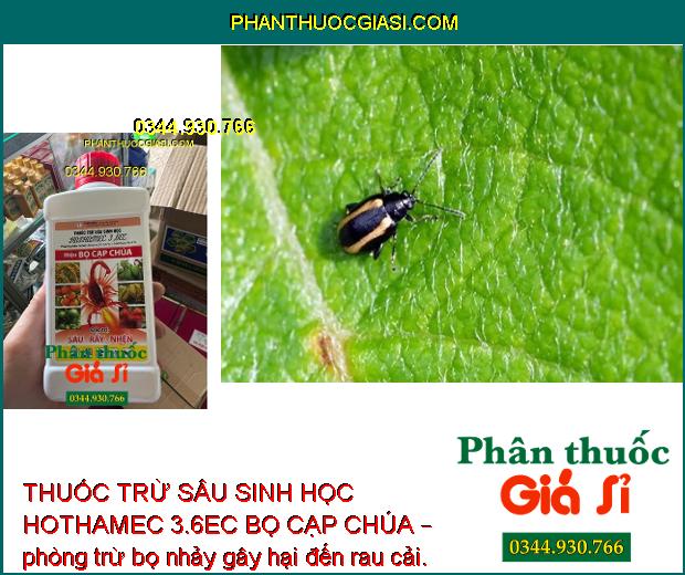 THUỐC TRỪ SÂU SINH HỌC HOTHAMEC 3.6EC BỌ CẠP CHÚA – Đặc Trị Sâu Cuốn Lá- Rầy Nâu Hại Lúa