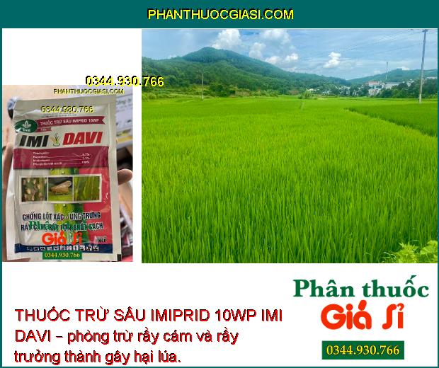 THUỐC TRỪ SÂU IMIPRID 10WP IMI DAVI – Đặc Trị Các Loại Rầy - Côn Trùng Chích Hút Trên Cây Trồng