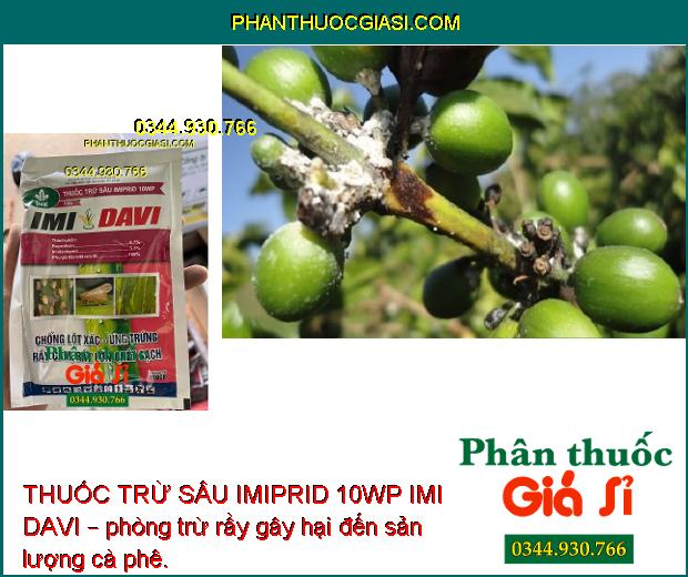 THUỐC TRỪ SÂU IMIPRID 10WP IMI DAVI – Đặc Trị Các Loại Rầy - Côn Trùng Chích Hút Trên Cây Trồng