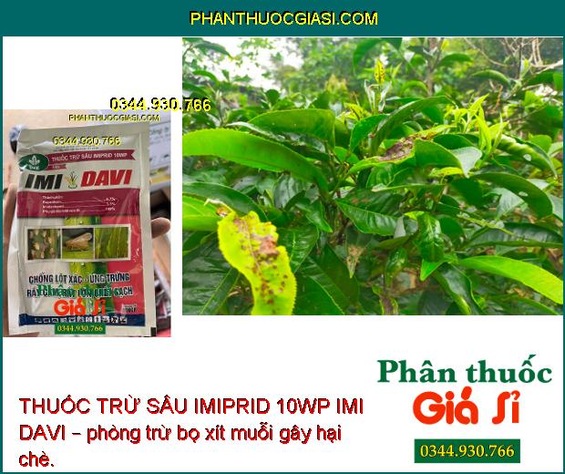 THUỐC TRỪ SÂU IMIPRID 10WP IMI DAVI – Đặc Trị Các Loại Rầy - Côn Trùng Chích Hút Trên Cây Trồng