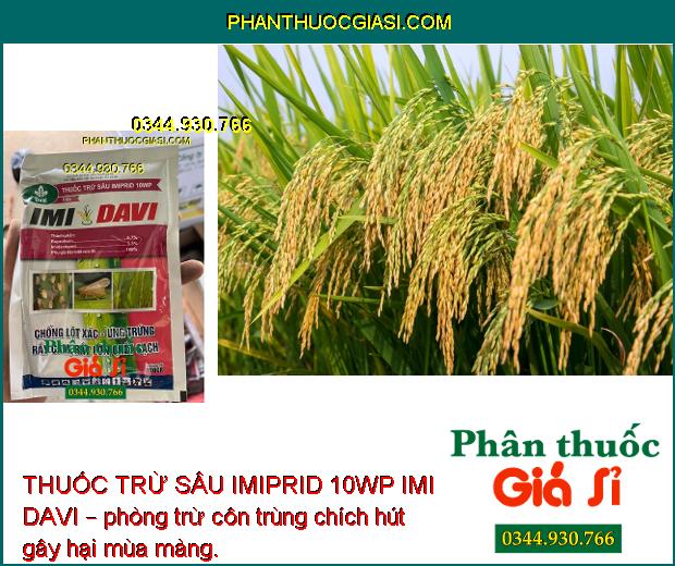 THUỐC TRỪ SÂU IMIPRID 10WP IMI DAVI – Đặc Trị Các Loại Rầy - Côn Trùng Chích Hút Trên Cây Trồng