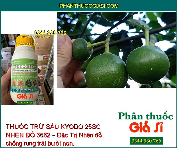 THUỐC TRỪ SÂU KYODO 25SC NHỆN ĐỎ 3662 