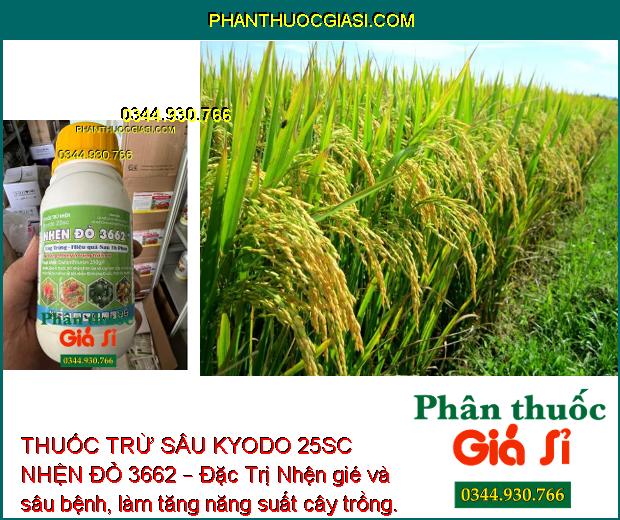 THUỐC TRỪ SÂU KYODO 25SC NHỆN ĐỎ 3662 