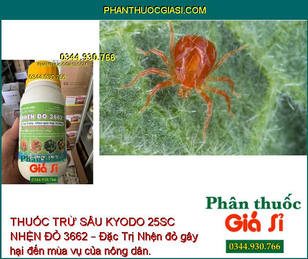 THUỐC TRỪ SÂU KYODO 25SC NHỆN ĐỎ 3662 