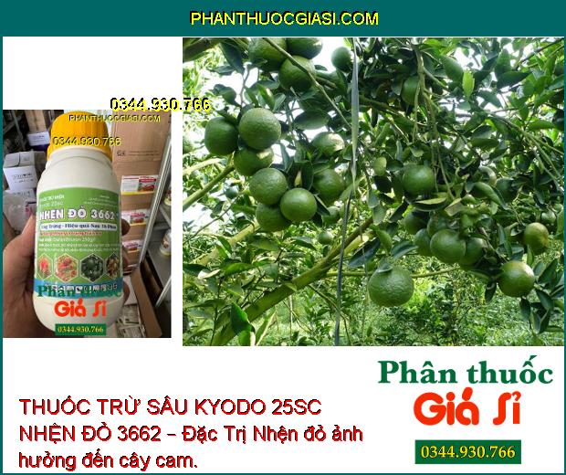 THUỐC TRỪ SÂU KYODO 25SC NHỆN ĐỎ 3662 