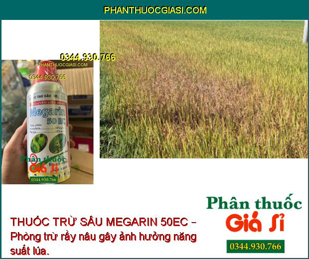 THUỐC TRỪ SÂU MEGARIN 50EC – Đặc Trị Ruồi Vàng- Sâu - Rầy