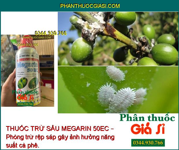 THUỐC TRỪ SÂU MEGARIN 50EC – Đặc Trị Ruồi Vàng- Sâu - Rầy