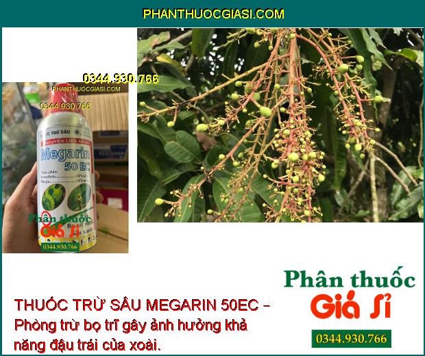 THUỐC TRỪ SÂU MEGARIN 50EC – Đặc Trị Ruồi Vàng- Sâu - Rầy