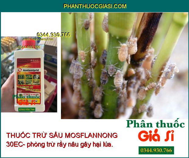 THUỐC TRỪ SÂU MOSFLANNONG 30EC – Đặc Trị Bọ Trĩ- Sâu Cuốn Lá- Rầy Nâu