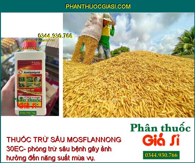 THUỐC TRỪ SÂU MOSFLANNONG 30EC – Đặc Trị Bọ Trĩ- Sâu Cuốn Lá- Rầy Nâu