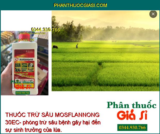 THUỐC TRỪ SÂU MOSFLANNONG 30EC – Đặc Trị Bọ Trĩ- Sâu Cuốn Lá- Rầy Nâu