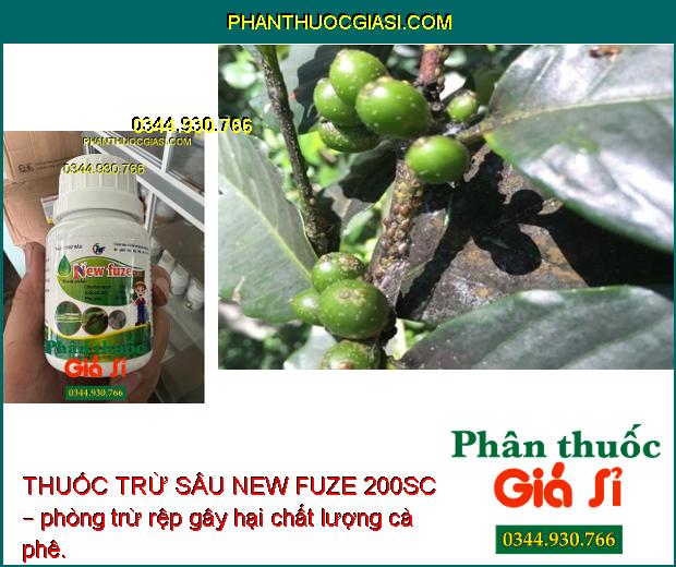 THUỐC TRỪ SÂU NEW FUZE 200SC – Đặc Trị Sâu Kháng Thuốc - Chuyên Trừ Rệp- Sáp