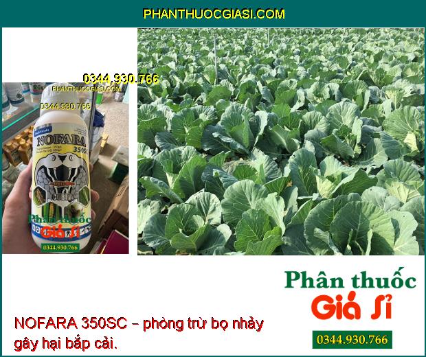 NOFARA 350SC – Đặc Trị Sâu - Rầy Nâu Gây Hại Cây Trồng