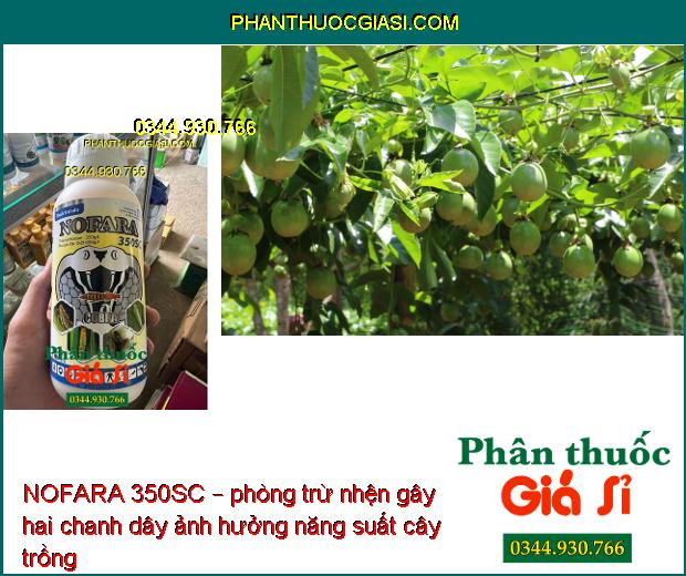 NOFARA 350SC – Đặc Trị Sâu - Rầy Nâu Gây Hại Cây Trồng