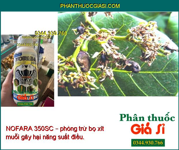 NOFARA 350SC – Đặc Trị Sâu - Rầy Nâu Gây Hại Cây Trồng